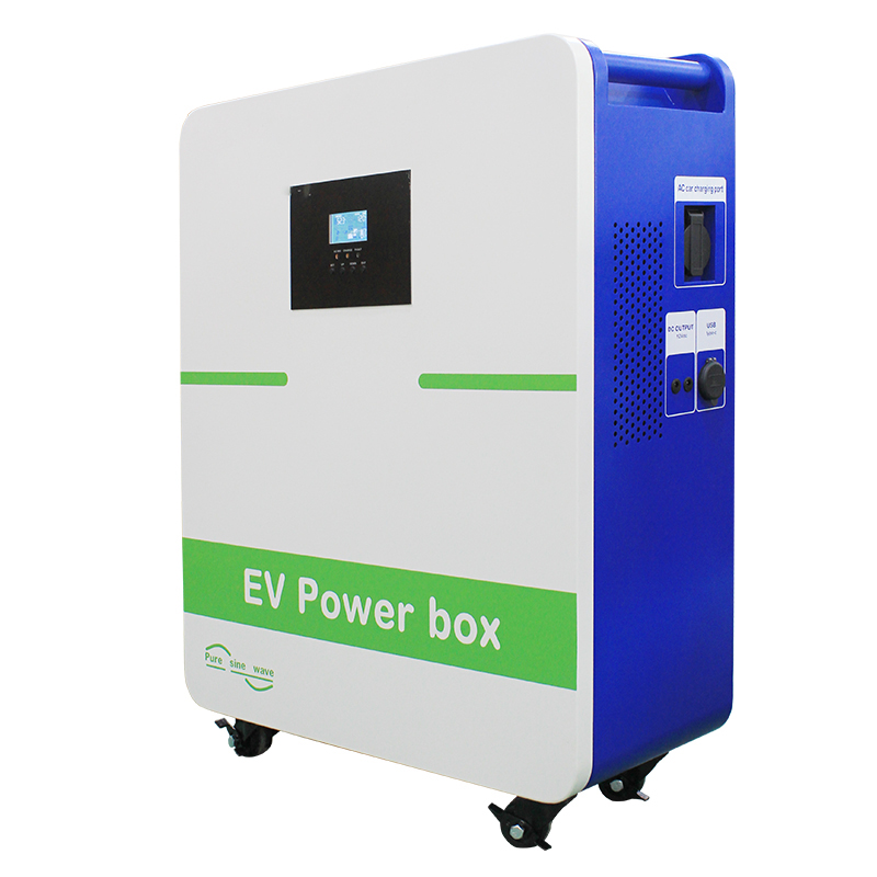 ❼金運UP イワヒバ １５首長最上株物 超多幹１５ ３０年以上物 激安 ➆金運UP イワヒバ 首長最上株物 15多幹 新株芽沢山有り 30年以上